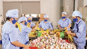 Workers are seen at the Vietfoods Factory in the Hapro Industrial Park in Ha Noi.