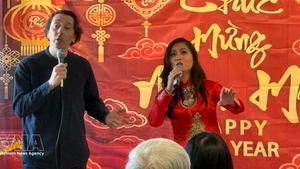 An art performance at the event (Photo: VNA)