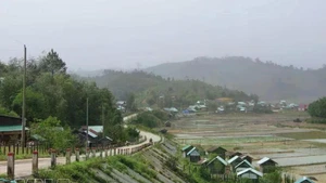 Mang But commune area in Quang Ngai province. (Photo: VNA)