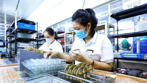 Nearly 35,500 enterprises are newly registered nationwide, with total registered capital reaching nearly 313.7 trillion VND and more than 167,500 registered workers. (Photo: VNA)