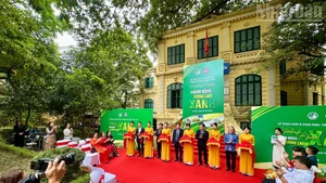 Overview of the opening ceremony.