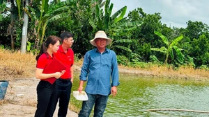 Huynh Tan Dat from Binh Hang Trung commune, Dong Thap province (first from right), earns a stable income thanks to bank loans for raising tra fish fingerlings. (Photo: Huu Nghia)