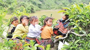 The database on children is also an important component of the National Database on Social Security. (Illustrative photo: Dang Khoa)