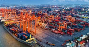 The Cai Mep–Thi Vai Port.