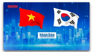Video: Nhan Dan Newspaper launches online Korean version