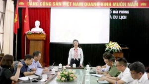Tran Thi Hoang Mai, Director of the Hai Phong Department of Culture, Sports and Tourism, gives information about the new night tour on June 2. (Photo: VNA)