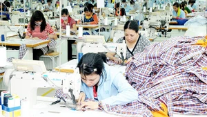 Export-oriented garment production line at Duc Giang Garment Joint Stock Company. Photo: NAM ANH