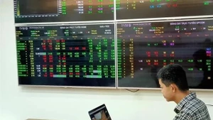 An investor at a securities firm's trading room in Ha Noi (Photo: VNA)