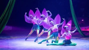 The act "Lotus Swing", inspired by the image of the lotus flower, was highly praised for its technical virtuosity and creative choreography. (Photo: Viet Nam Circus Federation)