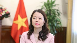 Deputy Minister of Foreign Affairs Nguyen Minh Hang (Photo: VNA)