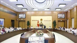 Members of the National Assembly Standing Committee casts votes. (Photo: VNA)