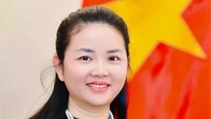 Vietnamese Ambassador to Mozambique Tran Thi Thu Thin (Photo: VNA)