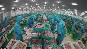 Tra fish processed at Sao Mai Group (Photo: VNA)