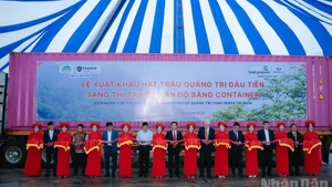 Delegates cut the ribbon to mark the export of Quang Tri’s first tung seed shipment to India.