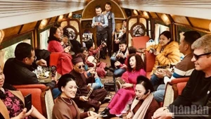 In the early days of the Year of the Horse, the cultural tourism train “Ha Noi Five Gates” Train (The Ha Noi Train) officially launched a special programme entitled Bringing Spring Home.