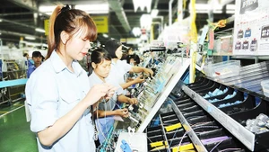 Sumi Viet Nam Wiring Systems Co., Ltd. (SVWS), a wholly Japanese-invested enterprise, operating in Dong Van II Industrial Park, Ninh Binh. Photo: TRAN HAI