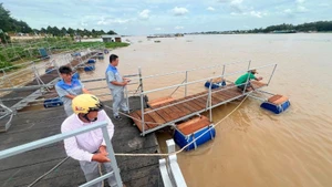 Truong Minh Hai built floating bridges around the communal house’s riverside wharf to both protect the fish and provide walkways for visitors