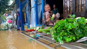 With proactive plans in place, residents remain calm and learn to live with flooding.