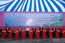 Delegates cut the ribbon to mark the export of Quang Tri’s first tung seed shipment to India.