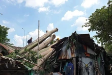 Heavy rain accompanied by whirlwinds swept through District 6 (former), ripping roofs off schools and toppling trees. (Photo: NGUYEN TAN/Nhan Dan)
