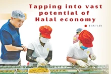Tapping into vast potential of Halal economy