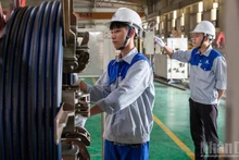 Workers at Tan A–Dai Thanh Company. (Photo: TUNG NGUYEN)