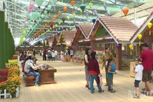 Agro-tourism models in Lam Dong attract tourists who are keen to explore and experience local agriculture.
