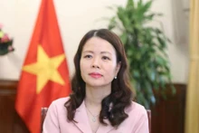 Deputy Minister of Foreign Affairs Nguyen Minh Hang (Photo: VNA)
