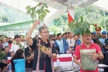 Ngoc Linh ginseng on display and for sale at the Ngoc Linh Ginseng Market, organised by Nam Tra My district, Quang Nam Province.