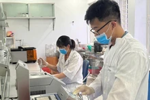 Scientific research activities at the Field Crops Research Institute