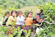 The database on children is also an important component of the National Database on Social Security. (Illustrative photo: Dang Khoa)
