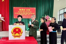 Vietnamese voters cast their ballots (Photo: VNA)