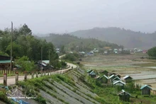 Mang But commune area in Quang Ngai province. (Photo: VNA)