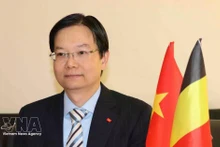 Tran Ngoc Quan, Trade Counsellor and head of the Viet Nam Trade Office in Belgium and the EU (Photo: VNA)