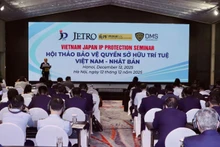 An overview of the “Viet Nam–Japan Intellectual Property Protection” workshop.