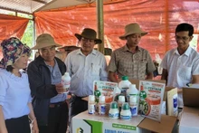 Authorities in Dak Lak Province guide farmers in the use of biological plant protection products. (Photo: Hoai Anh)