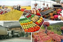 Vietnam gains 28.04 billion USD from exporting agro-forestry-fishery products in the first five months of the year. (Photo: congthuong.vn)