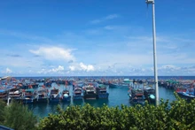 At Sinh Ton Island’s harbour, in the Truong Sa (Spratly) Archipelago, fishing vessels are organised and sheltered from storms.