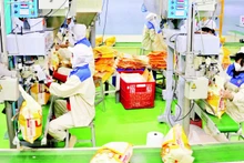 Packaging rice for export at the factory of Thao Son One Member Limited Liability Food Company in An Giang Province. (Photo: VNA)