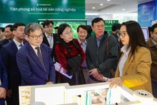 Ha Noi officials visit the Hanoi Technology Exchange. (Photo: VNA)