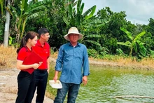 Huynh Tan Dat from Binh Hang Trung commune, Dong Thap province (first from right), earns a stable income thanks to bank loans for raising tra fish fingerlings. (Photo: Huu Nghia)
