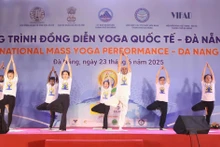 A large-scale yoga performance (Photo: VNA)