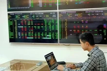 An investor at a securities firm's trading room in Ha Noi (Photo: VNA)