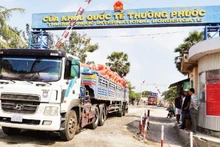 Inspection of goods at Thuong Phuoc International Border Gate in Dong Thap Province.