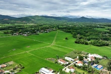 Quang Nam promotes sustainable agricultural development. (Photo: LE ANH QUAN)