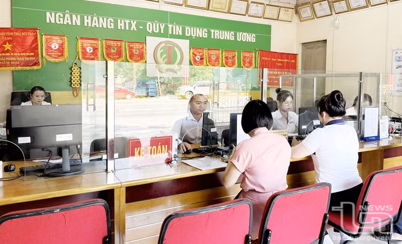 At a people’s credit fund office in Phu Luong Commune, Thai Nguyen Province (Photo: baothainguyen.vn)