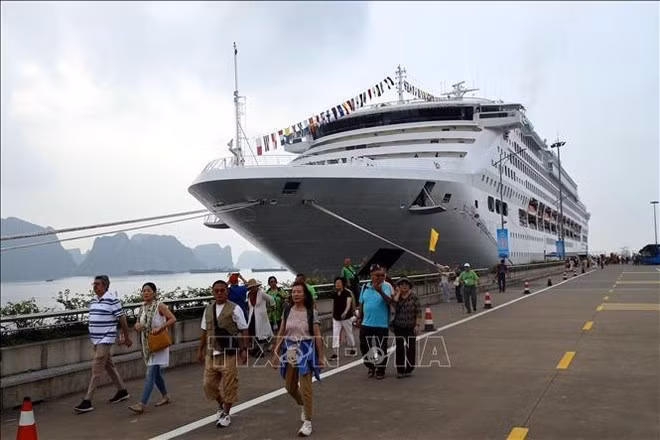 The cruise ship Pacific World brings around 1,700 tourists to Quang Ninh. (Photo: VNA)