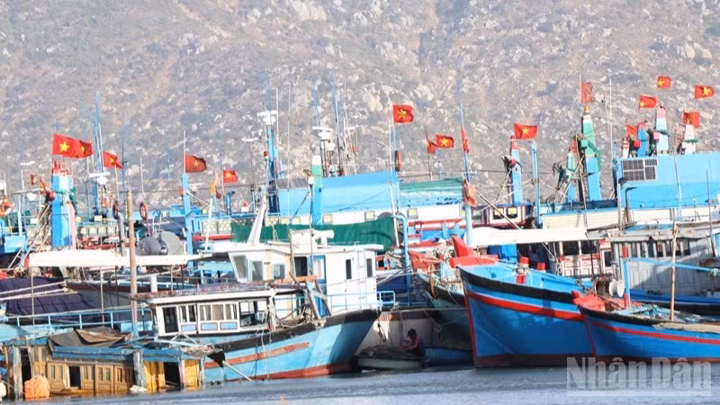 Fishing boat of fishermen in Ca Na commune, Khanh Hoa Province moored, preparing for repairs. (Photo: NGUYEN TRUNG)
