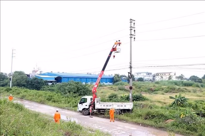 Electricity workers install lightning protection devices for power poles in Hai Phong (Photo: VNA)