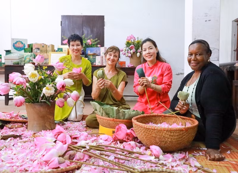 Visitors experience the traditional craft of scenting tea with Quang An lotus flowers. (Photo: VNA)